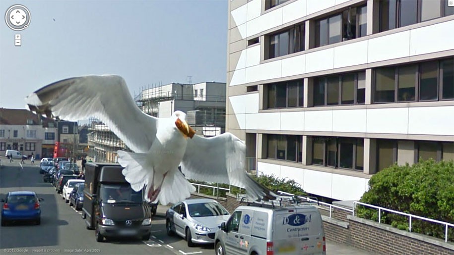 TechieApps-Google Earth and Google Street View pics-Con Bird