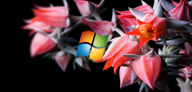 Techieapps-Windows 8 HD Wallpapers-20